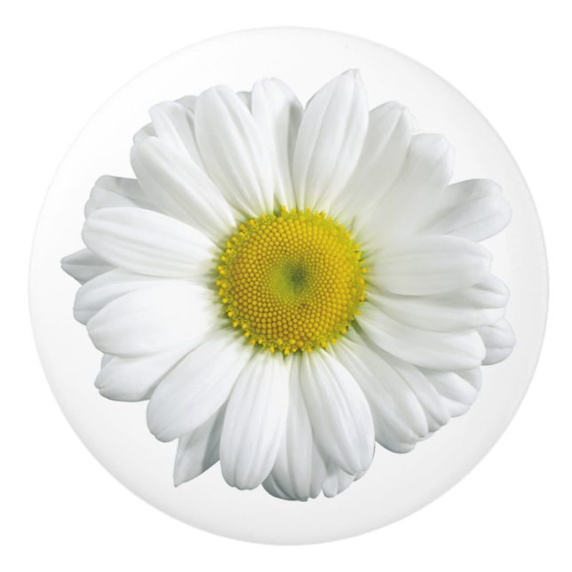 White Daisy Country Ceramic Pull (Front)