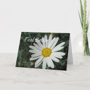 White Daisy - Feel Better - Customizable Card