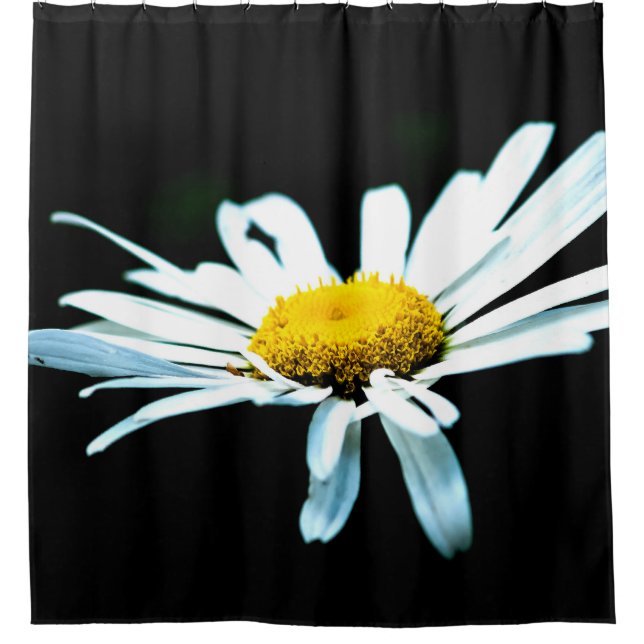 White Daisy Flower (Front)