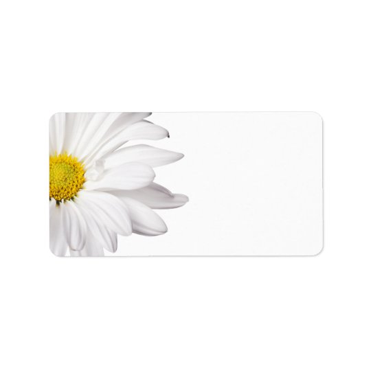 White Daisy Flower Background Customized Daisies