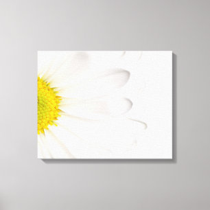 White Daisy Flower Background Customized Daisies Canvas Print