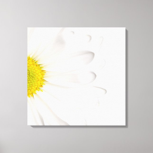White Daisy Flower Background Customized Daisies Canvas Print (Front)