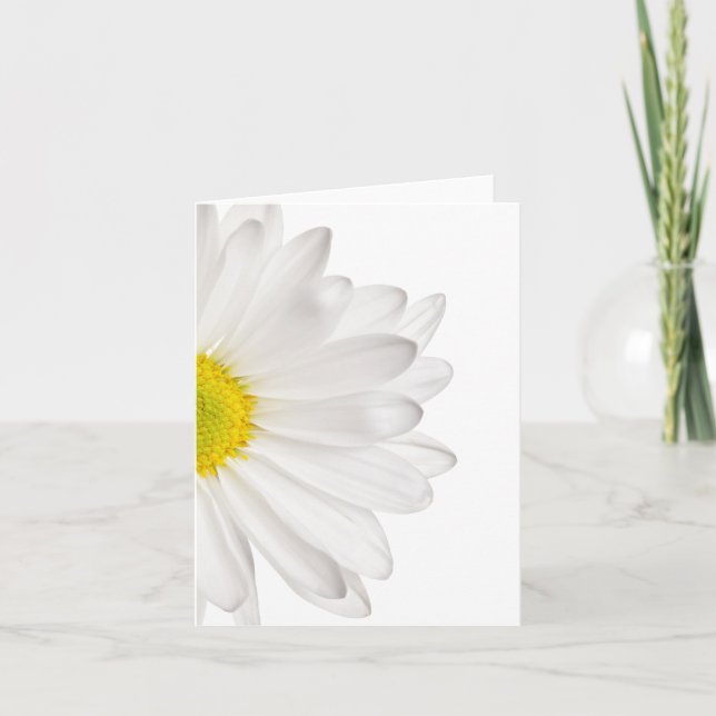 White Daisy Flower Background Customized Daisies Card (Front)