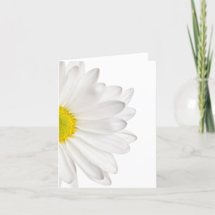 White Daisy Flower Background Customized Daisies Card