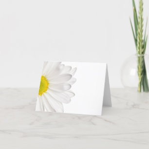 White Daisy Flower Background Customized Daisies Card