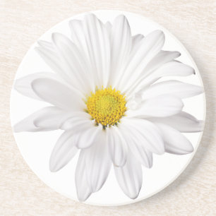 White Daisy Flower Background Customized Daisies Coaster