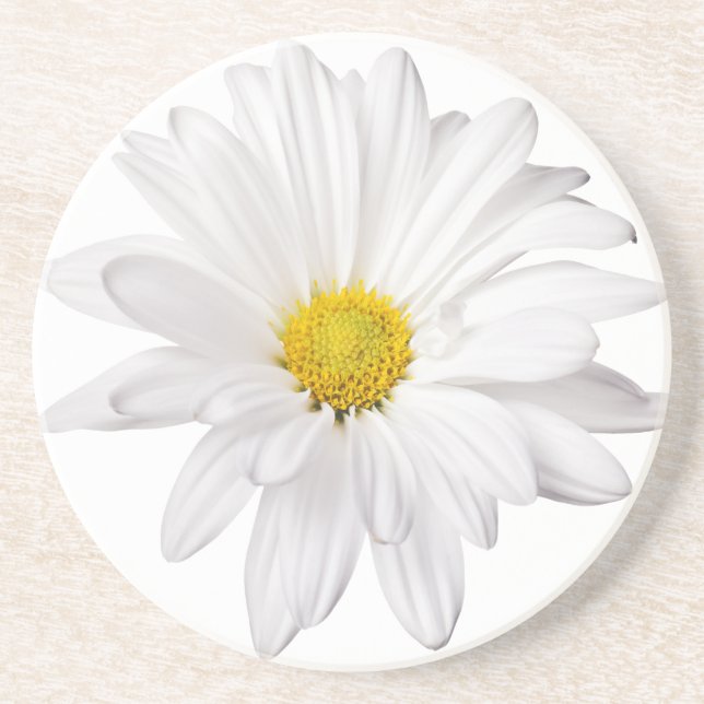 White Daisy Flower Background Customized Daisies Coaster (Front)