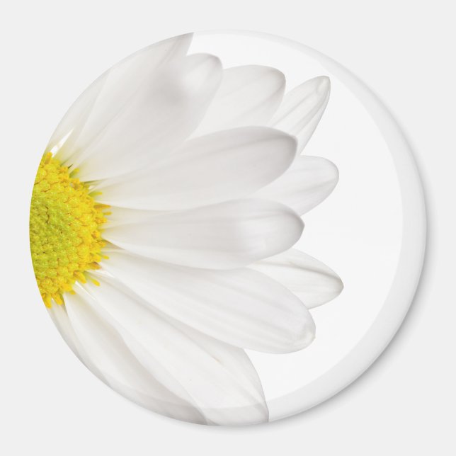 White Daisy Flower Background Customized Daisies Magnet (Front)