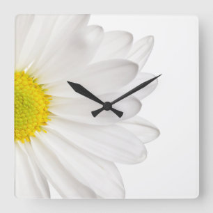 White Daisy Flower Background Customized Daisies Square Wall Clock