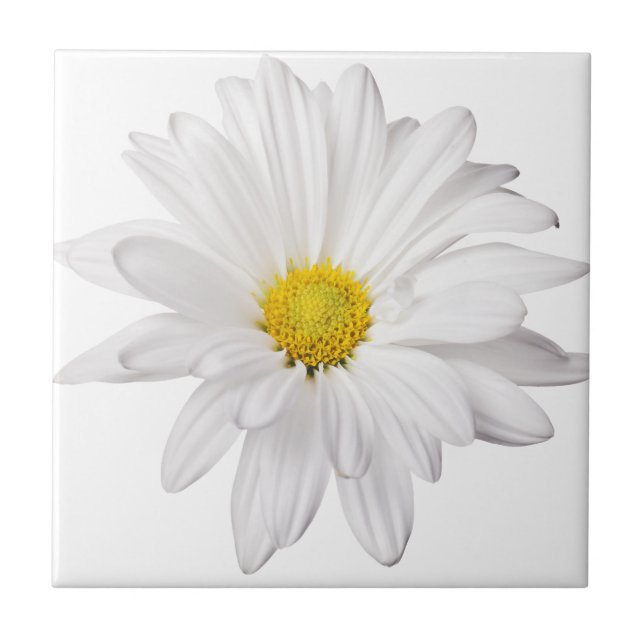 White Daisy Flower Background Customized Daisies Tile (Front)