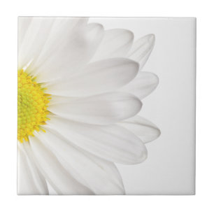 White Daisy Flower Background Customized Daisies Tile