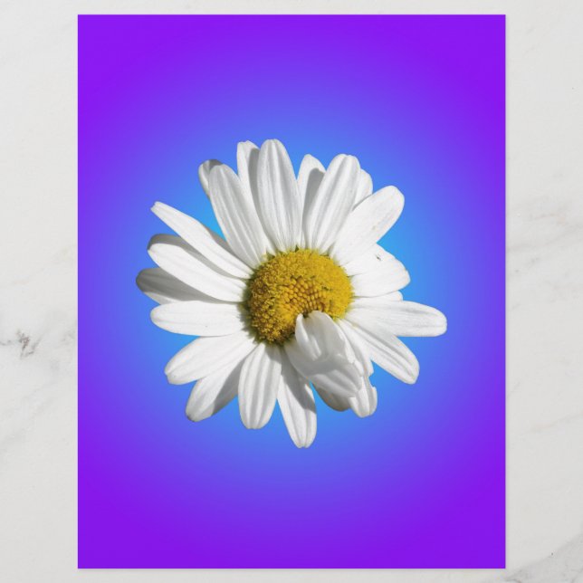White Daisy Flower Floral Purple Blue Gradient (Front)
