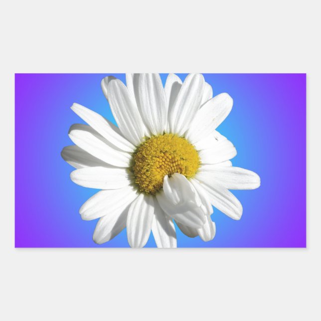 White Daisy Flower Floral Purple Blue Gradient Sticker (Front)