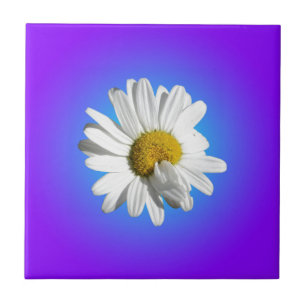 White Daisy Flower Floral Purple Blue Gradient Tile