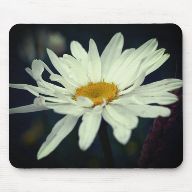 White Daisy Flower  Mouse Pad (Front)