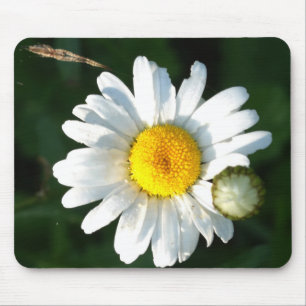 White Daisy Flower Mousepad