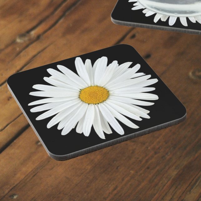 White Daisy Flower on Black Background Coaster (In Situ)
