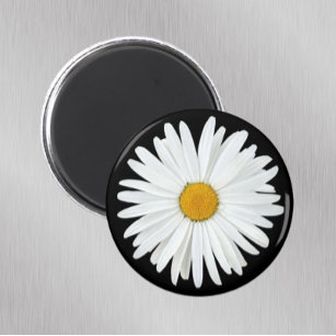 White Daisy Flower on Black Floral Magnet
