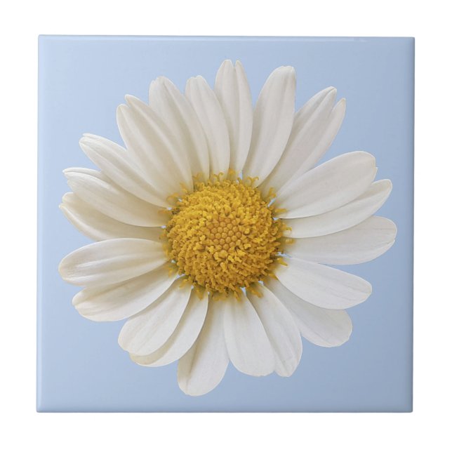 White Daisy Flower on Light Blue Background Tile (Front)