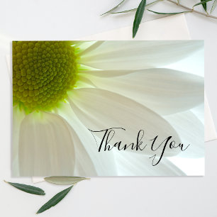 White Daisy Flower Petals Thank You Card