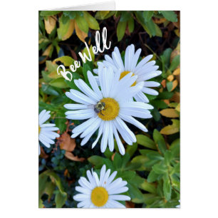 White Daisy Flower with a Bee Get Well Card