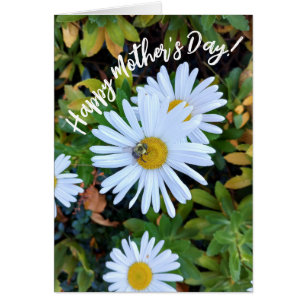 White Daisy Flower with a Bee Mother's Day Card