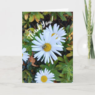 White Daisy Flower with a Bee Thank You Card