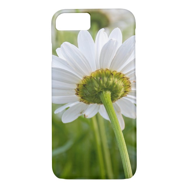 white daisy macro Case-Mate iPhone case (Back)
