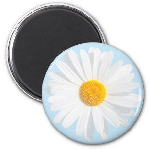 white daisy magnet