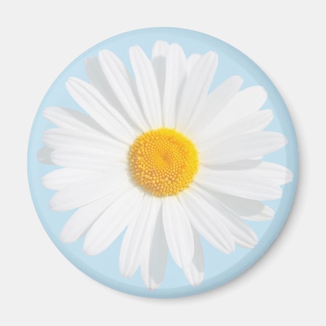white daisy magnet (Front)
