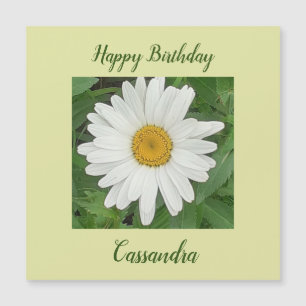 White Daisy Magnetic Birthday Card