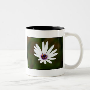 White daisy mug