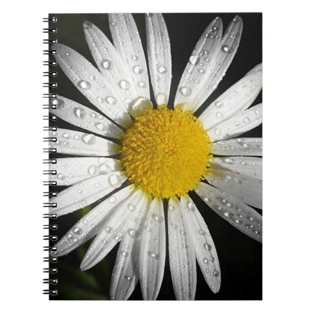 White Daisy Notebook (Front)