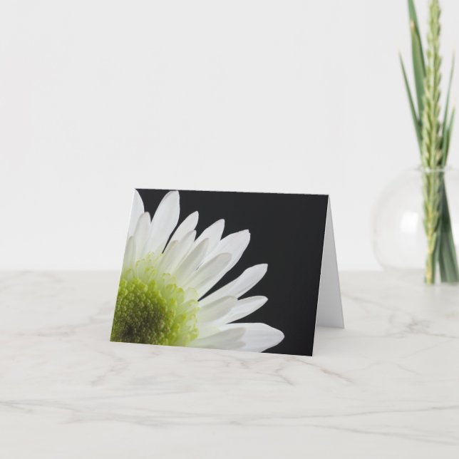White Daisy on Black Card (Front)