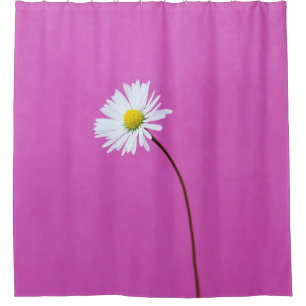 WHITE DAISY ON PINK BACKGROUND