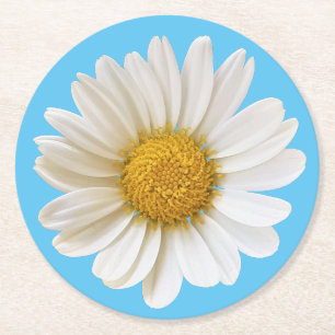 White Daisy on Skye Blue Background Round Paper Coaster