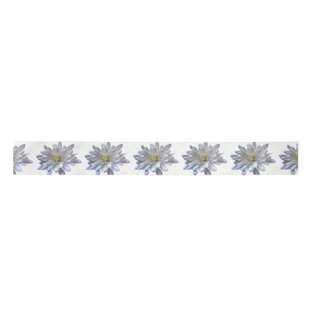 White daisy pattern white flowers satin ribbon (Front)