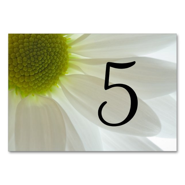 White Daisy Petals Table Numbers (Front)