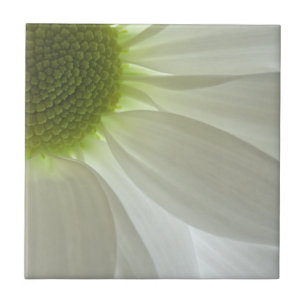 White Daisy Petals Tile