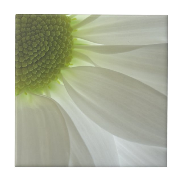 White Daisy Petals Tile (Front)