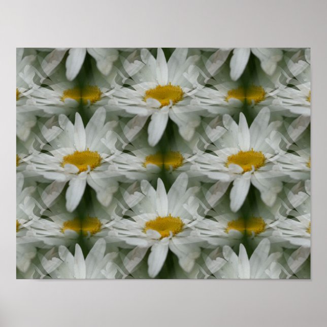White Daisy Raindrops Flower Abstract Poster (Front)