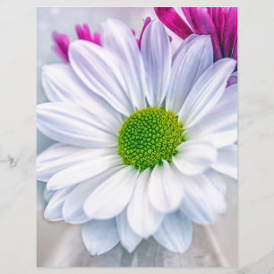 White Daisy Scrapbook Paper