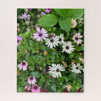 White Daisy, Seoul Jigsaw Puzzle