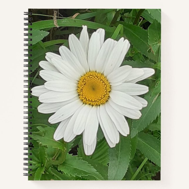 White Daisy Spiral Notebook (Front)