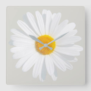 white daisy square wall clock