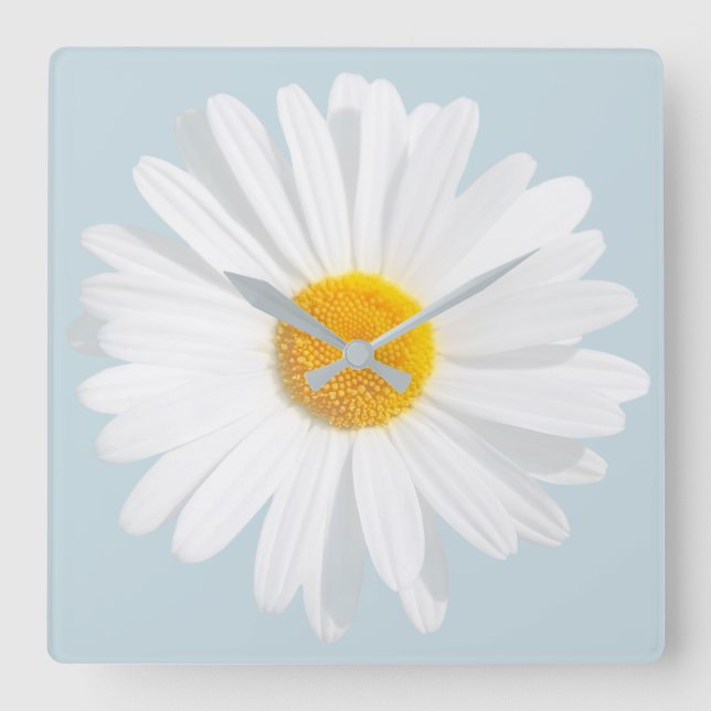 white daisy square wall clock (Front)