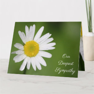 White Daisy Sympathy Card