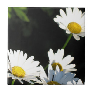 White Daisy Tile