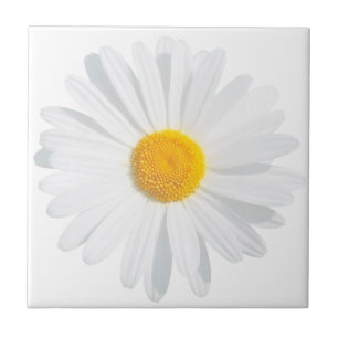 white daisy tile