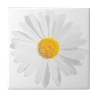 white daisy tile